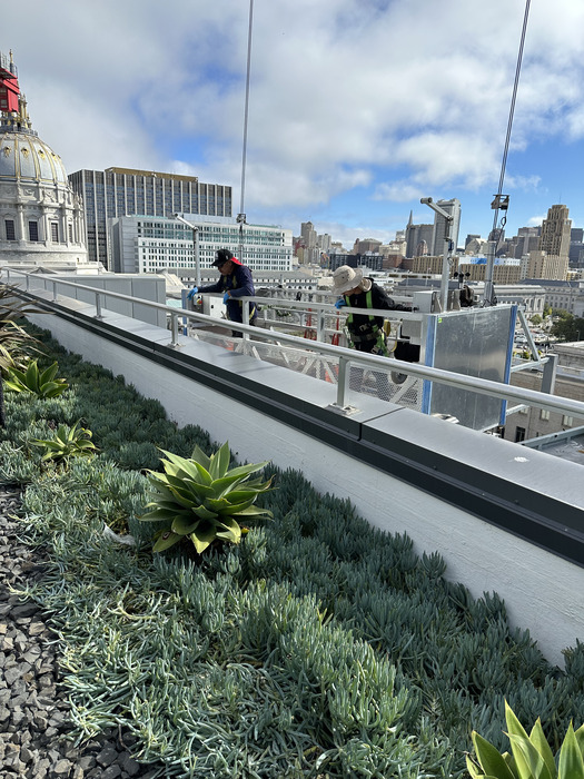 Project Image 19
